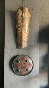 War Shield For Sale